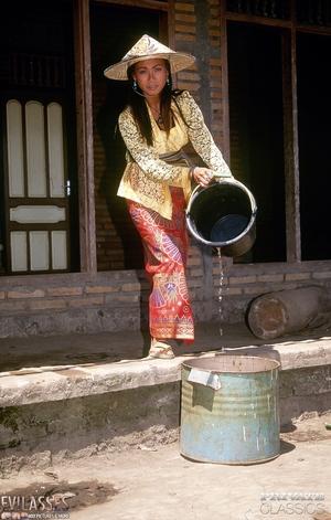 Original 2039 px/ 3200 px