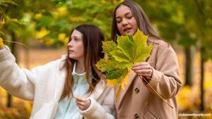 Original 6000 px/ 3376 px