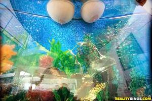 Original 900 px/ 600 px