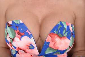 Original 2491 px/ 1663 px