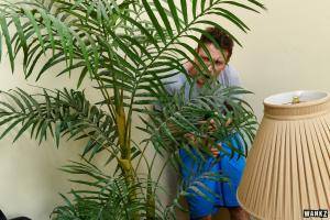 Original 1600 px/ 1067 px