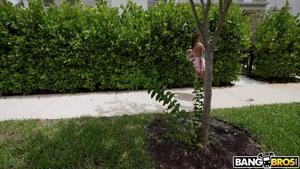 Original 1278 px/ 719 px