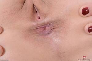 Original 1600 px/ 1067 px