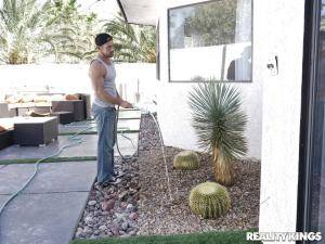 Original 1692 px/ 1269 px