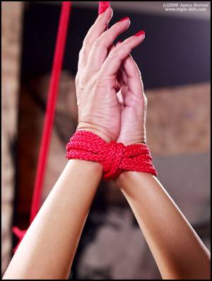 Original 1333 px/ 1771 px