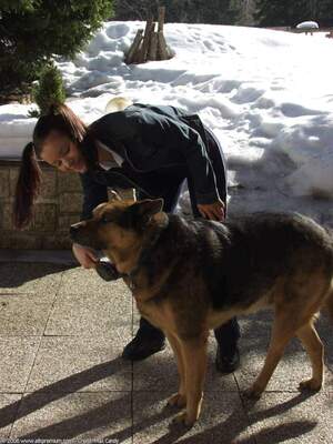 Original 1200 px/ 1600 px