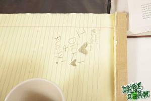 Original 1903 px/ 1269 px