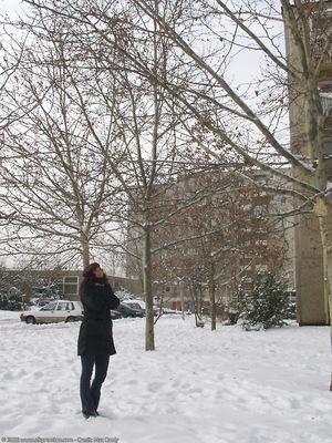 Original 768 px/ 1024 px