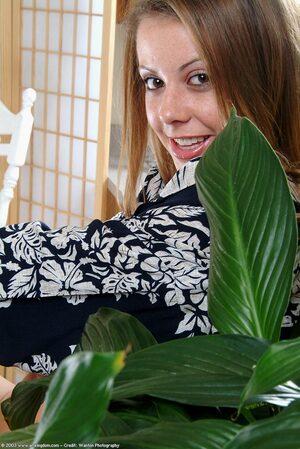 Original 684 px/ 1024 px