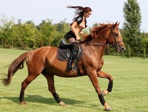 Original 1280 px/ 970 px