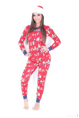 Original 1733 px/ 2600 px