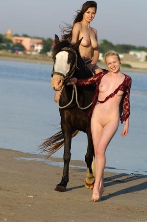 Original 1360 px/ 2048 px