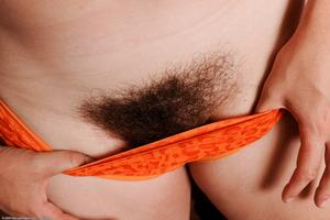 Original 1536 px/ 1022 px