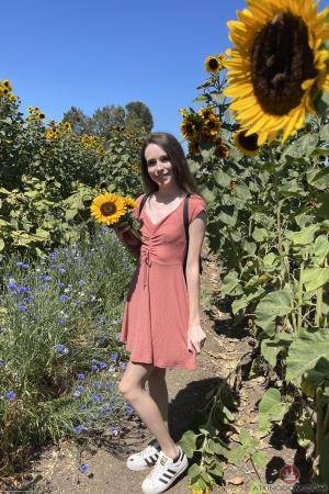 Original 2000 px/ 3000 px