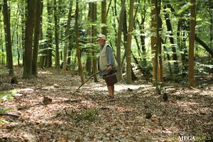 Original 3500 px/ 2333 px