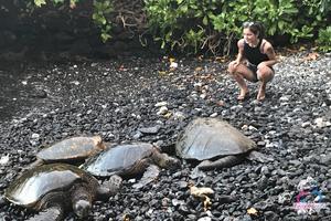 Original 3000 px/ 2000 px