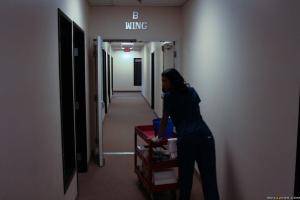 Original 2491 px/ 1663 px