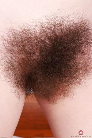 Original 2000 px/ 3000 px