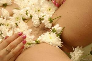 Original 2500 px/ 1662 px