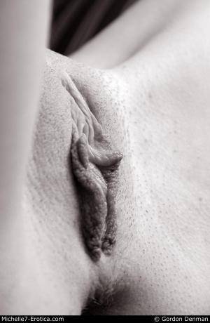 Original 1000 px/ 1536 px