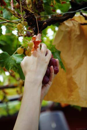 Original 2883 px/ 4324 px