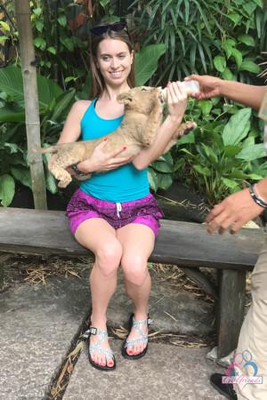 Original 2000 px/ 3000 px