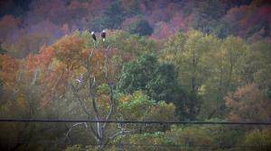 Original 1200 px/ 675 px