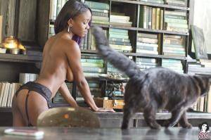 Original 5051 px/ 3367 px