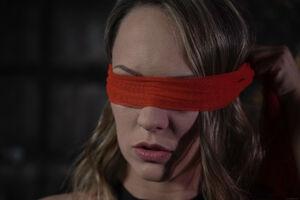 Original 7952 px/ 5304 px