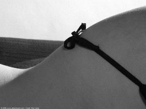 Original 1024 px/ 768 px