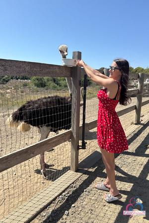 Original 3333 px/ 5000 px