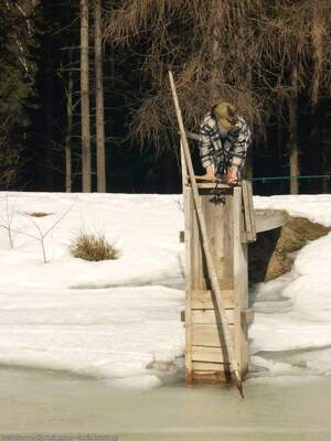 Original 1200 px/ 1600 px