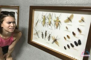 Original 3000 px/ 2000 px