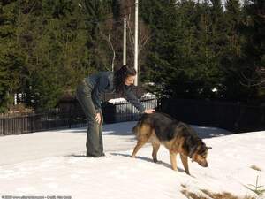 Original 1600 px/ 1200 px