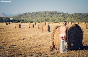 Original 1280 px/ 824 px