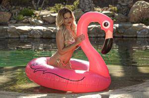 Original 2496 px/ 1663 px