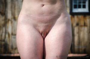 Original 1200 px/ 795 px