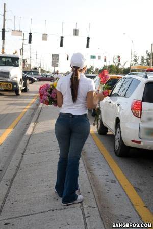 Original 533 px/ 800 px