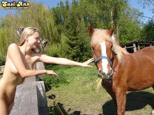 Original 1024 px/ 768 px