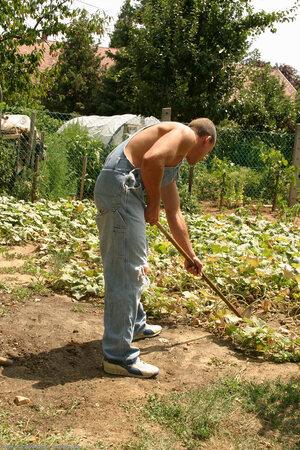 Original 1024 px/ 1536 px