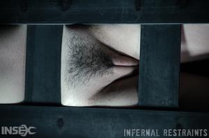 Original 1200 px/ 795 px