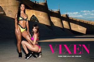 Original 3000 px/ 2000 px