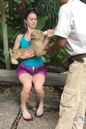 Original 2000 px/ 3000 px