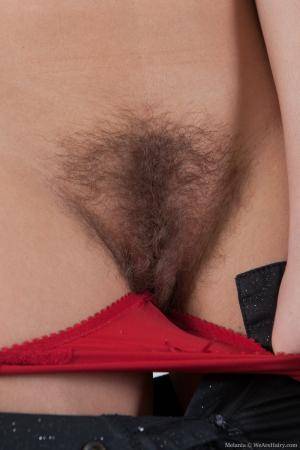 Original 800 px/ 1200 px