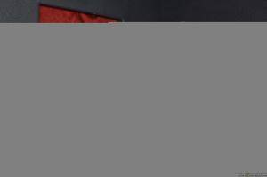 Original 2495 px/ 1663 px