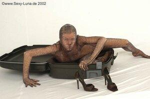 Original 800 px/ 531 px