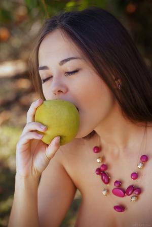 Original 2883 px/ 4324 px