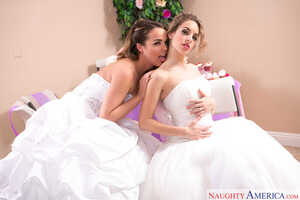 Original 2500 px/ 1666 px