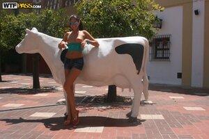 Original 1600 px/ 1067 px