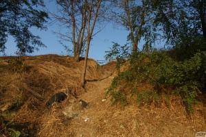 Original 1920 px/ 1280 px